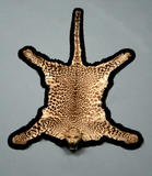 Click for more details.